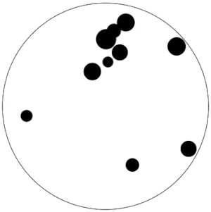 A series of black dots inside a circle. A standard way of testing subitizing speeds.