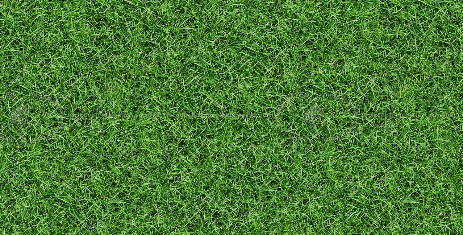 Lawn